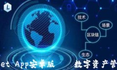 全面解读TPWallet App安卓版——数字资产管理新时