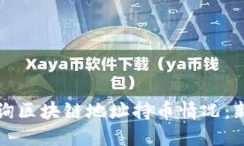 如何快速查询区块链地址持币情况：新手必看指南