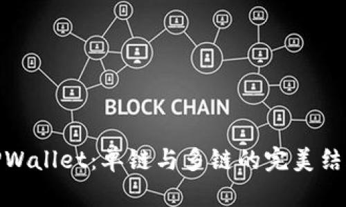 TPWallet：单链与多链的完美结合