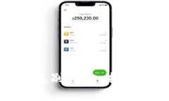 区块链币与货币的区别：深入探讨数字货币的新