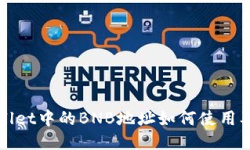 TPWallet中的BNB地址如何使用及管理