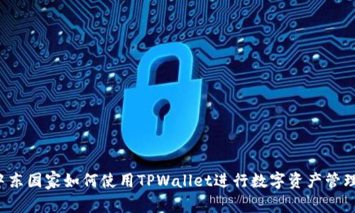 中东国家如何使用TPWallet进行数字资产管理？