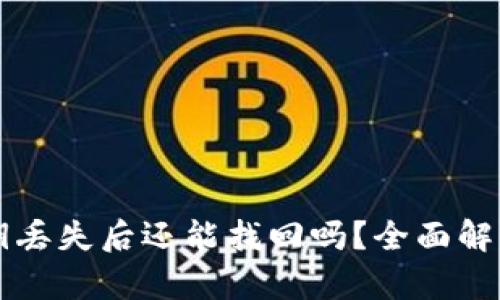 TPWallet私钥丢失后还能找回吗？全面解析与应对策略