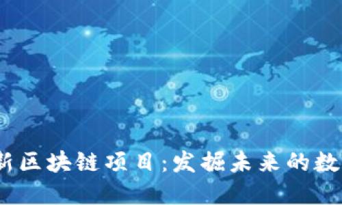 2023年最新区块链项目：发掘未来的数字资产之路