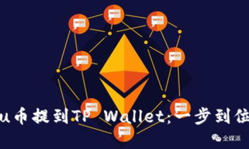 如何将Kishu币提到TP Wallet：一步到位的完整指南