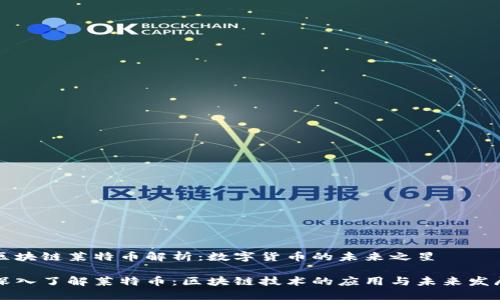 区块链莱特币解析：数字货币的未来之星

深入了解莱特币：区块链技术的应用与未来发展