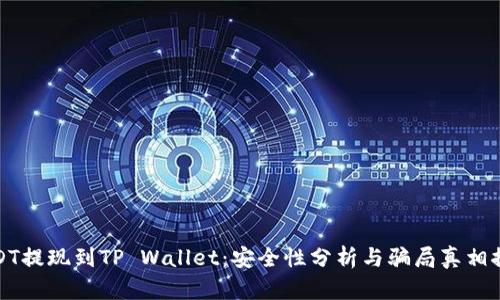 USDT提现到TP Wallet：安全性分析与骗局真相探讨