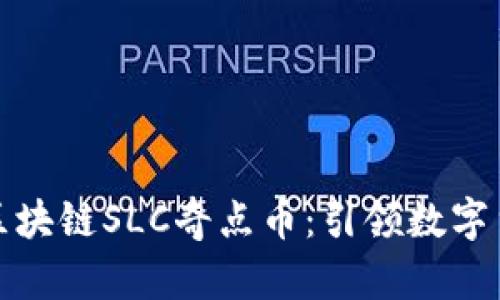 探秘中筹区块链SLC奇点币：引领数字货币新潮流