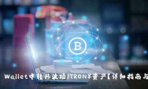 如何在TP Wallet中转移波场（TRON）资产？详细指南与网络选择