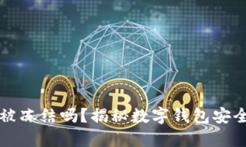 TPWallet能被冻结吗？揭秘数字钱包安全与冻结机制