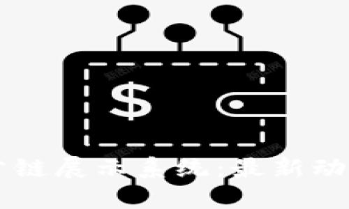区块链国金公链展示系统：最新动态与未来展望