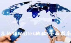 如何找回遗忘的TPWallet地址：全面指南与实用技巧