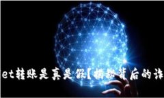 TPWallet转账是真是假？揭秘背后的诈骗套路