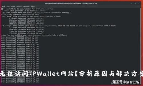 无法访问TPWallet网站？分析原因与解决方案