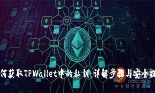 如何获取TPWallet中的私钥：详解步骤与安全提示