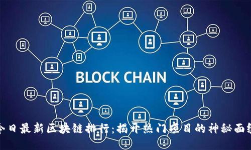 今日最新区块链排行：揭开热门项目的神秘面纱