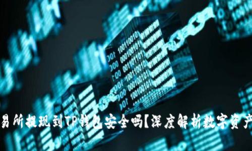 欧意交易所提现到TP钱包安全吗？深度解析数字资产安全性