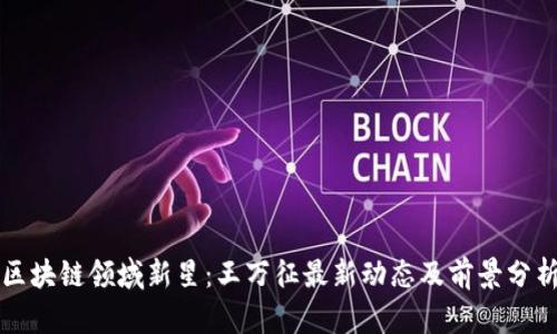 区块链领域新星：王万征最新动态及前景分析