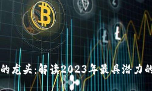 最新区块链的龙头：解读2023年最具潜力的区块链项目