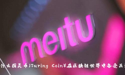 为什么图灵币（Turing Coin）在区块链世界中备受关注？