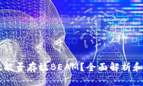 TPWallet能否存放BEAM？全面解析和使用指南