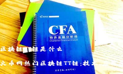 火币网上区块链TT链是什么

深入探秘火币网热门区块链TT链：技术、应用与未来展望