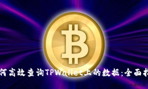 如何高效查询TPWallet上的数据：全面指南