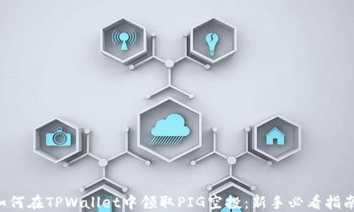 
如何在TPWallet中领取PIG空投：新手必看指南!