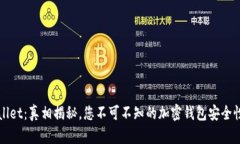 TPWallet：真相揭秘，您不可不知的加密钱包安全性