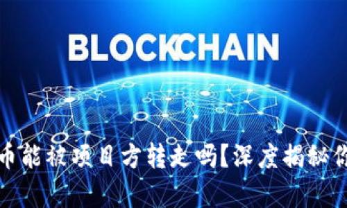 tpwallet的币能被项目方转走吗？深度揭秘你的资产安全