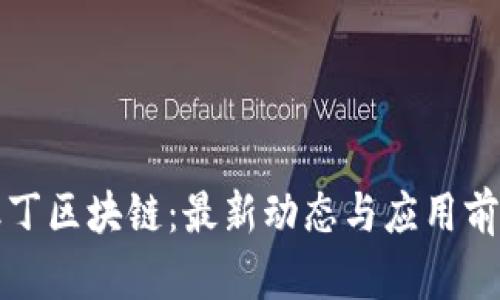 探秘但丁区块链：最新动态与应用前景分析