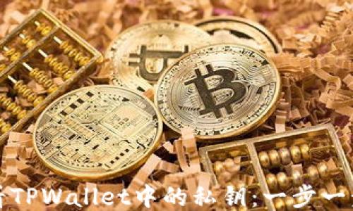 
如何查看TPWallet中的私钥：一步一步的指南