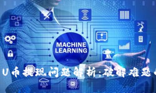 TPWallet U币提现问题解析：破解难题的终极指南