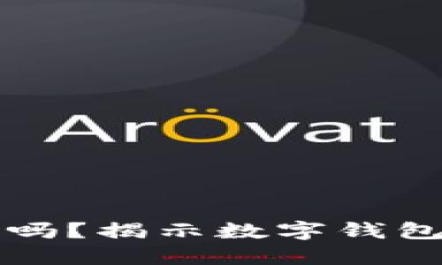 TPWallet安全吗？揭示数字钱包风险与安全性