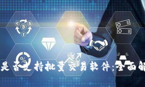 探索TPWallet是否支持批量交易软件：全面解析与实用指南