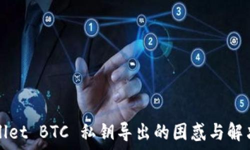   
TPWallet BTC 私钥导出的困惑与解决方案