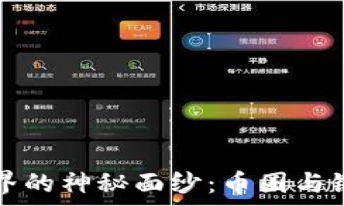   
揭开区块链世界的神秘面纱：币圈与链圈的深度解析