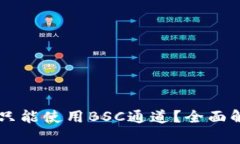 TPWallet是否只能使用BSC通道？全面解析与实际应用