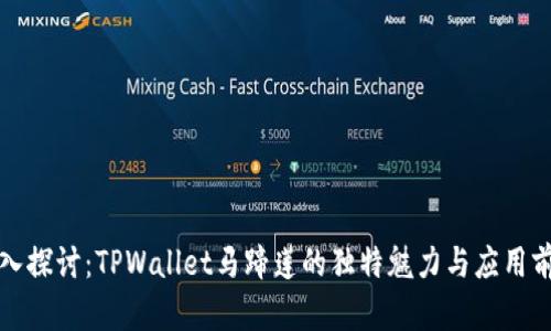 深入探讨：TPWallet马蹄莲的独特魅力与应用前景