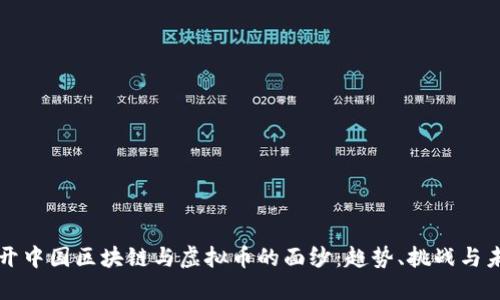 揭开中国区块链与虚拟币的面纱：趋势、挑战与未来