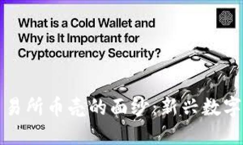 揭开抹茶区块链交易所币壳的面纱：新兴数字资产的未来与挑战