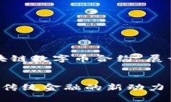 请注意：以下内容将围绕“区块链数字币合约”