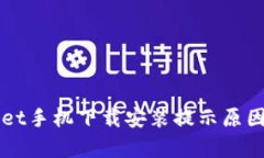 TPWallet手机下载安装提示原因全解析