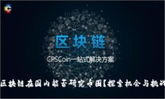 区块链在国内能否研究币圈？探索机会与挑战