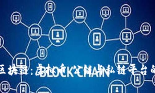 全面解析区块链：虚拟币、公链与私链平台的深度分析