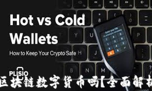 
dstt币是真区块链数字货币吗？全面解析与深度剖析