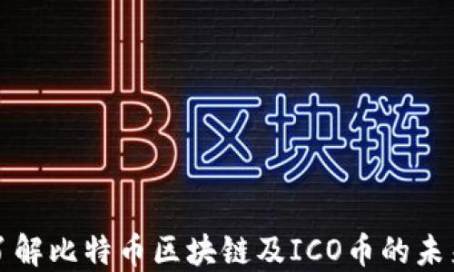 
深入了解比特币区块链及ICO币的未来发展