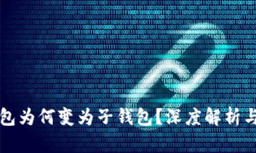 TP身份钱包为何变为子钱包？深度解析与使用指南