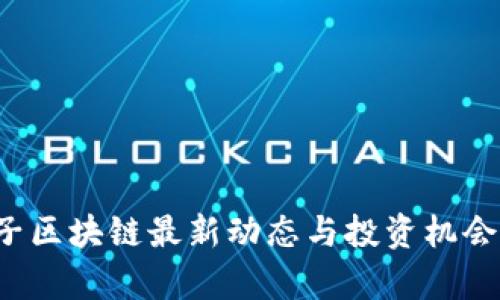  太子区块链最新动态与投资机会分析