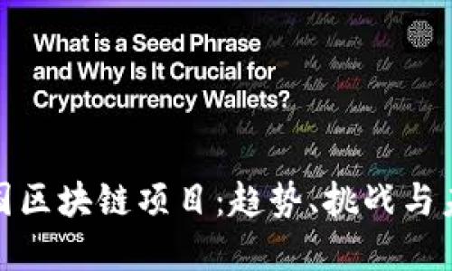 最新美国区块链项目：趋势、挑战与未来发展